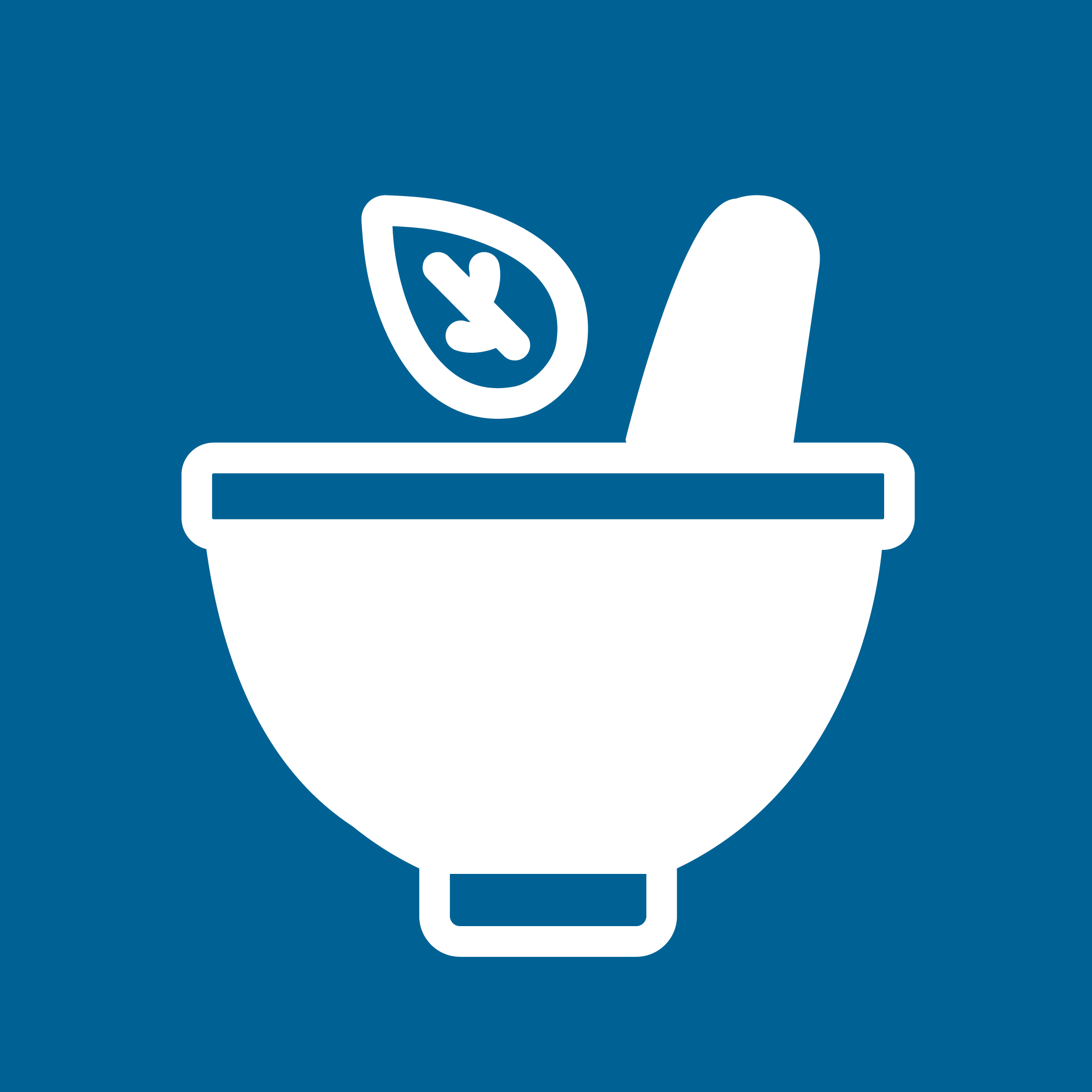 Icon 16. Traditional healer support.png